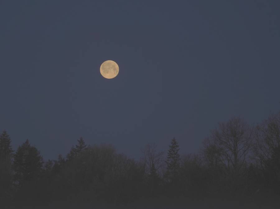 vollmond.gruendonnserstag.2023.p1162585.jpg
