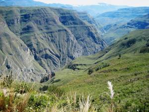 d1000179.jpg