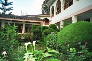 imm028_29.jpg
